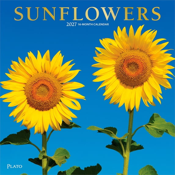 Sunflowers | 2027 12x24" (Hanging) Wall Calendar | Foil Stamped Cover | Plato