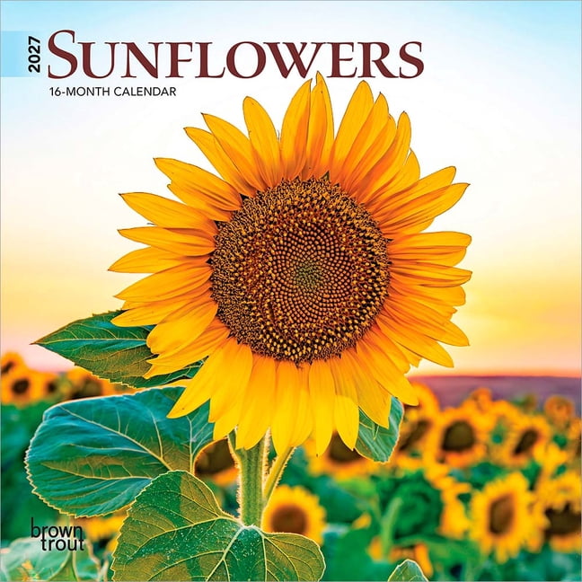 Sunflowers 2027 7 X 14 Inch (Hanging) Monthly Mini Wall Calendar, (Paperback)