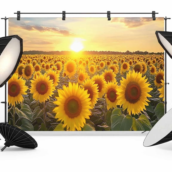 Sunflowers Backdrop for Photoshoot,Photography Photo Studio Background Wall Backdrop,Farmhouse Natural Botanical Sunset Scenery Back Drop Banner Panel for Portraits Wedding Party Live Streaming 7x5Ft