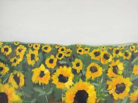 Sunflowers Canvas Art - Melissa Lyons (18 x 24)