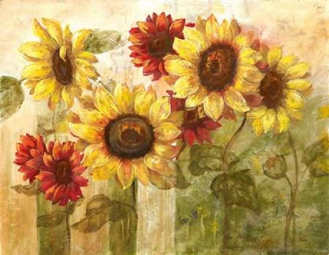 Sunflowers Delight Canvas Art - Nan (22 x 28)