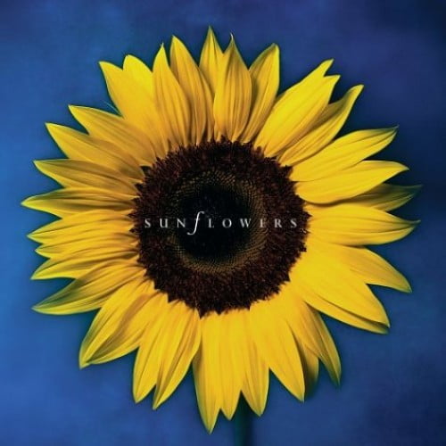 Pre-Owned Sunflowers (Hardcover) 0762416351 9780762416356