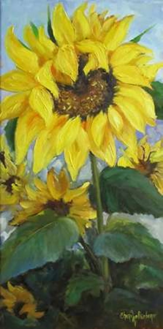 Sunflowers I Canvas Art - Cheri Wollenberg (10 x 20)