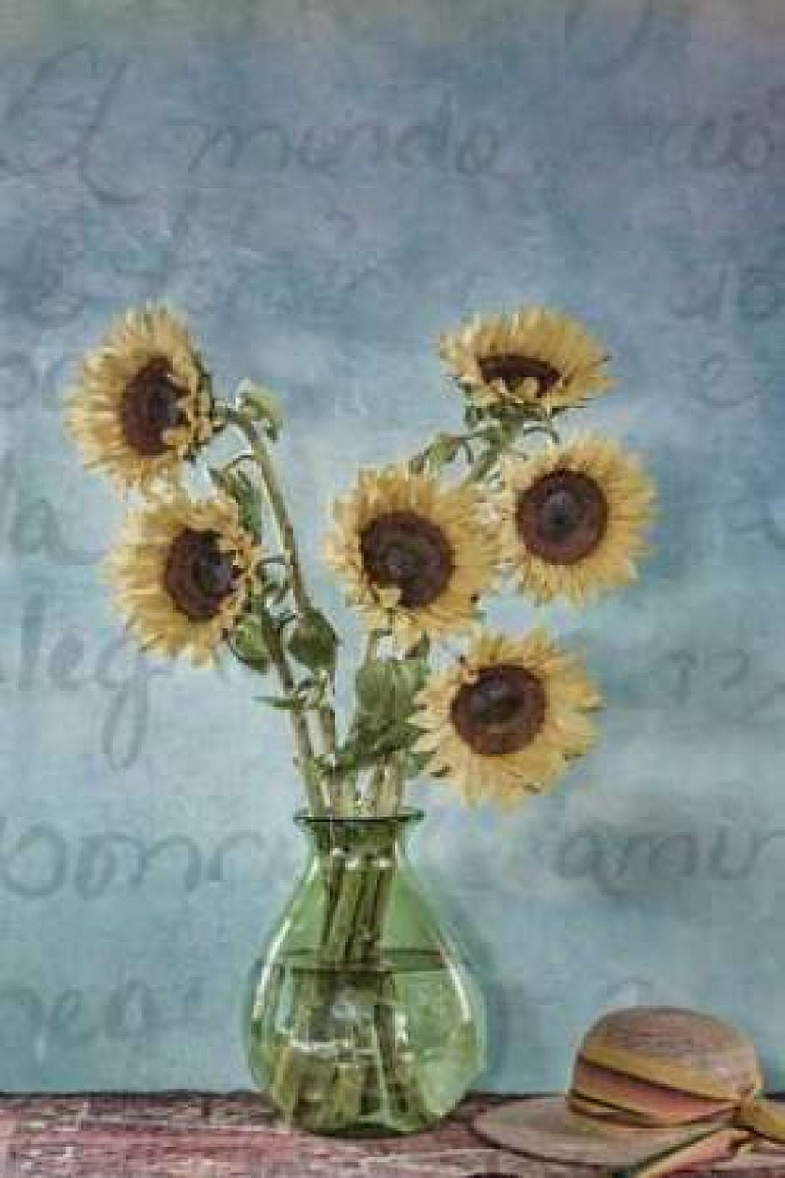 Sunflowers I Canvas Art - Kathy Mahan (24 x 36)