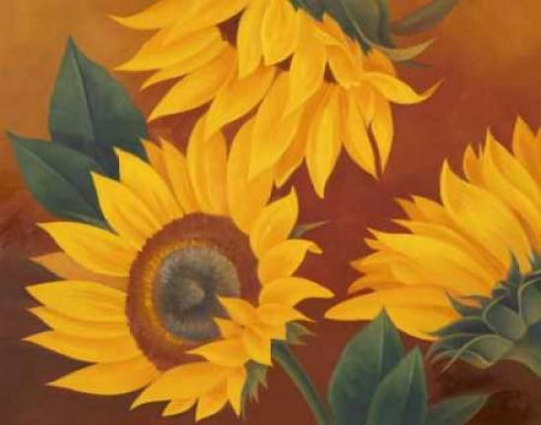 Sunflowers II Canvas Art - Vivien Rhyan (22 x 28)