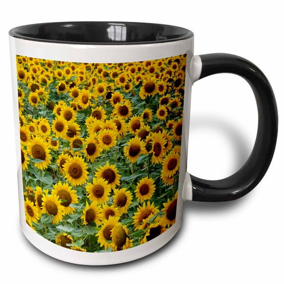 3drose, Sunflowers in the Flower Farm, Furano, Hokkaido Prefecture, Japan, 15oz Two-tone Black Mug