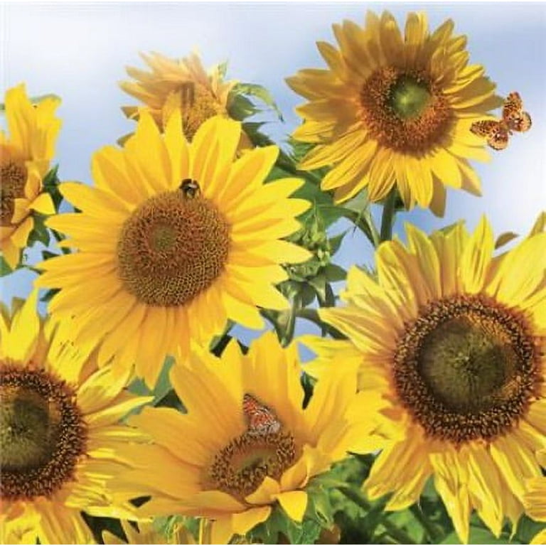 Sunflowers in the Blue Sky - Decorative Floral Lunch Paper Napkins
