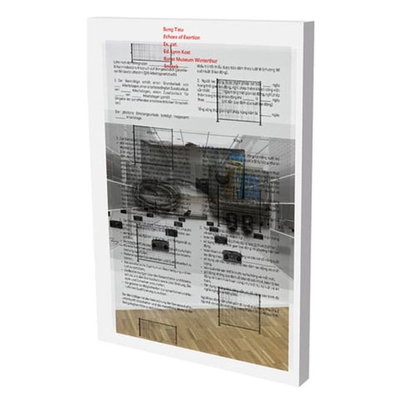 Sung Tieu: One Thousand Times: Cat. Kunst Museum Winterthur, (Paperback)