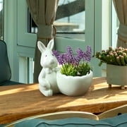 Sunggoko Easter Rabbit Mini Ceramic Succulent Plant Pots Thumb Flower Pots For Small Plants And Decorative ObjectsFlower Pots