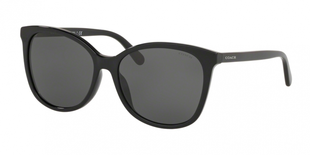 Sunglasses Coach HC 8271 U 500287 Black - image 1 of 4