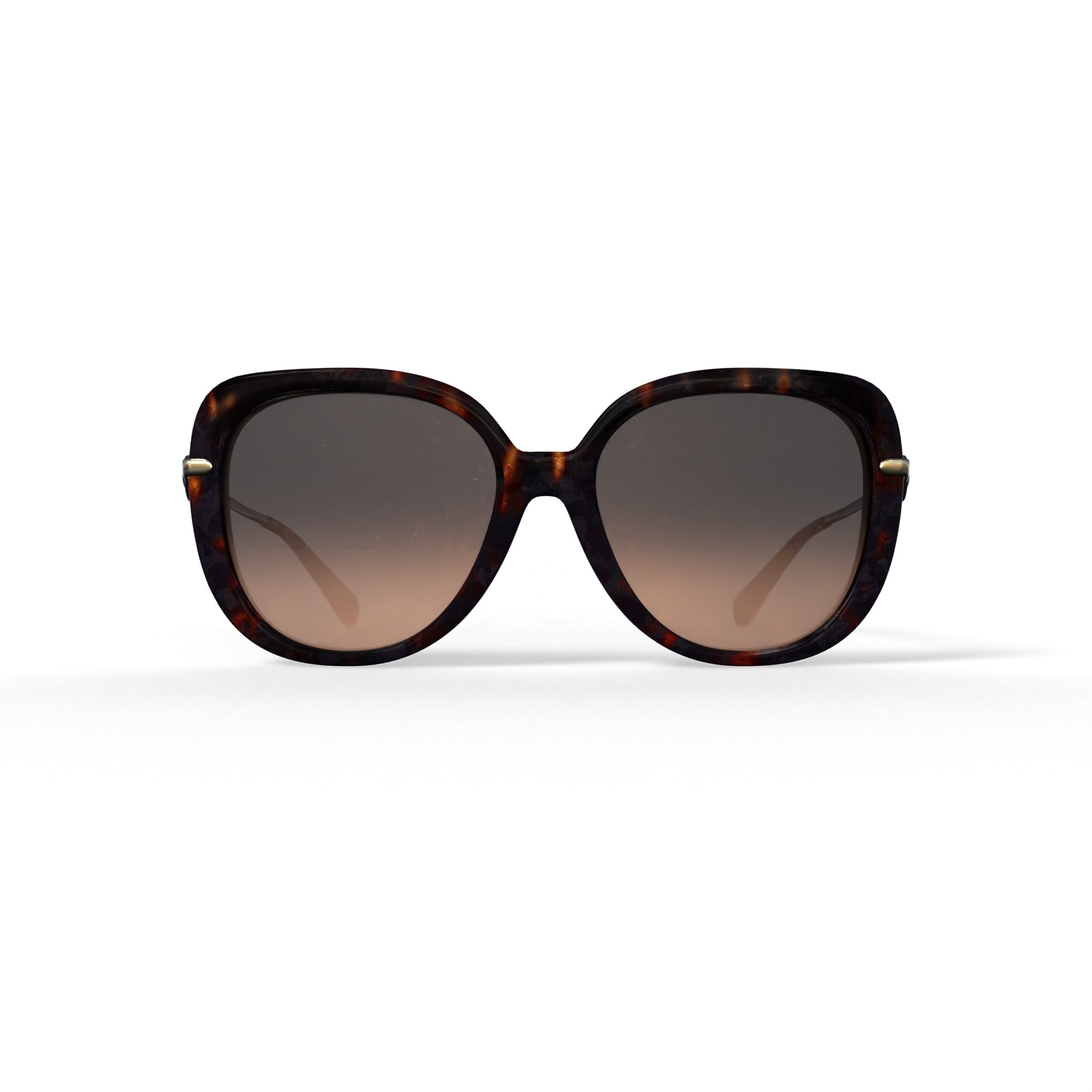 Sunglasses-Coach-HC-8320-