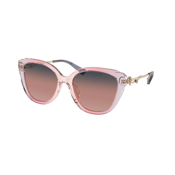 Sunglasses Coach HC 8347 BU 56418D C9199 Gradient Transparent Vio