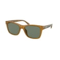 thumbnail image 1 of Sunglasses Coach HC 8359 U 52513H Cd455 Milky Amber Green Solid, 1 of 1