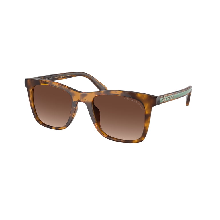 Sunglasses Coach HC 8374 F 5120T5 Ck463 Dark Tortoise Brown  display picture 1