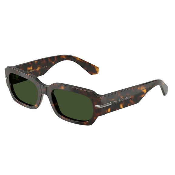 Sunglasses Dolce & Gabbana DG 4485 502/71 Havana Dark Green
