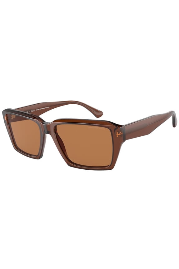 Sunglasses Emporio Armani EA 4186 504473 Shiny Transparent Brown