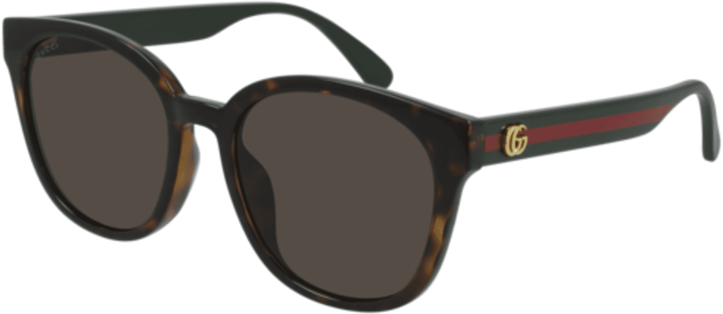 Sunglasses Gucci GG 0855 SK- 003 Havana / Brown Green