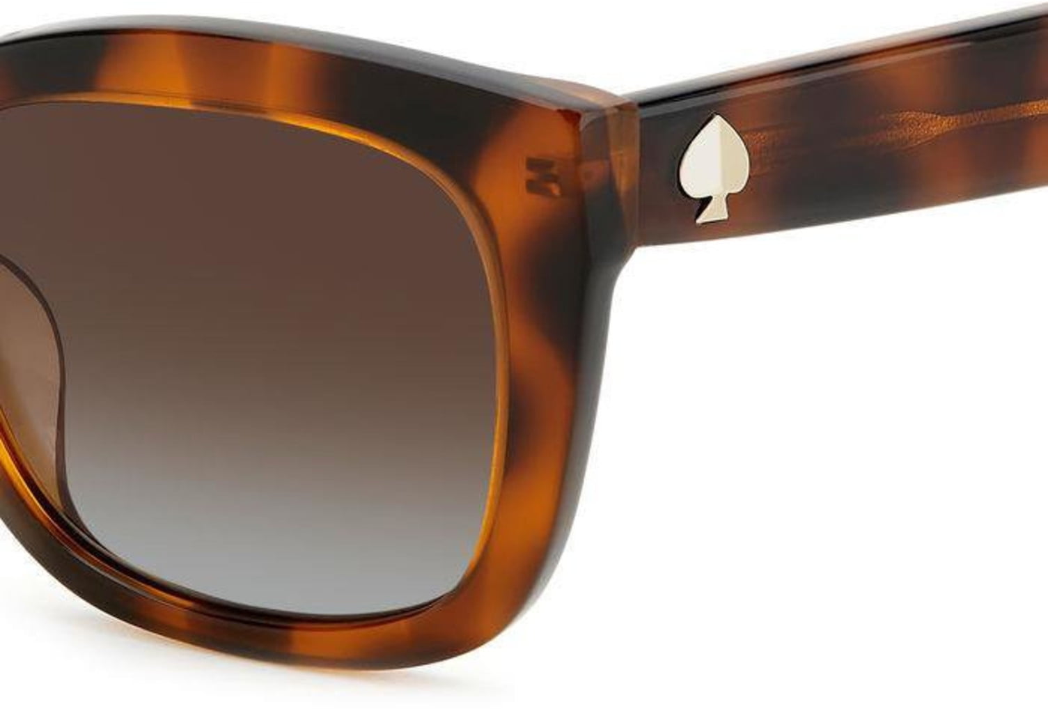 KATE SPADE Sunglass frames TAMMY/S WOMAN 53.000/20.000/140.000 086 HAVANA