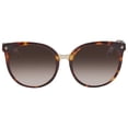 thumbnail image 1 of Lacoste LACOSTE Sunglasses 55mm Havana – Gradient Lenses, 1 of 2