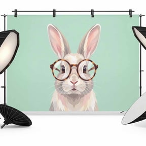 Sunglasses Rabbit Photography Backdrop 7x5FT, Retro Funny Rabbit Mint Green Background Photo Backdrops, Background for Photography Studio Photo Studio Background, Back Drop for Photoshoot