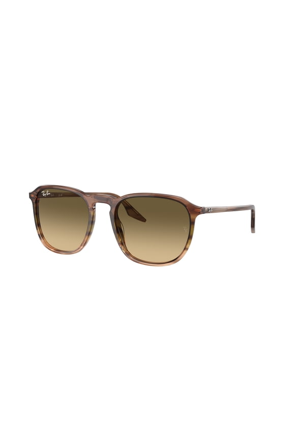 Sunglasses Ray-Ban RB 2203 13920A Striped Brown Gradient Green B
