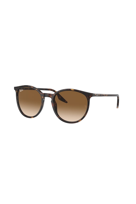 Sunglasses Ray-Ban RB 2204 902/51 Havana Clear Gradient Brown