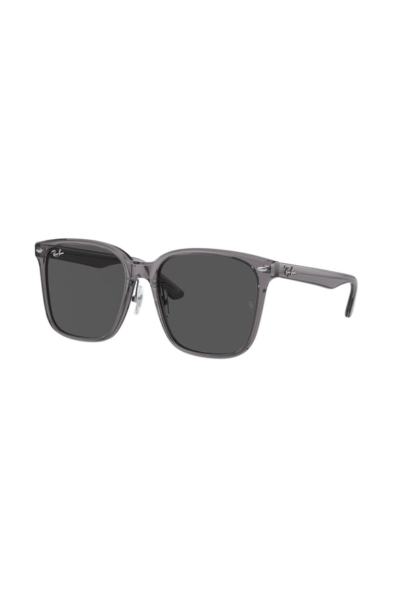 Sunglasses Ray-Ban RB 2206 D 139987 Transparent Grey Dark