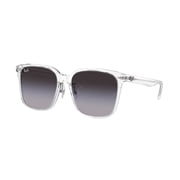 Sunglasses Ray-Ban RB 2206 D 64478G Transparent Grey Gradient Blue