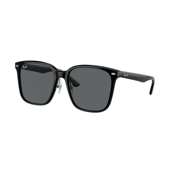 Sunglasses Ray-Ban RB 2206 D 901/87 Black Dark Grey