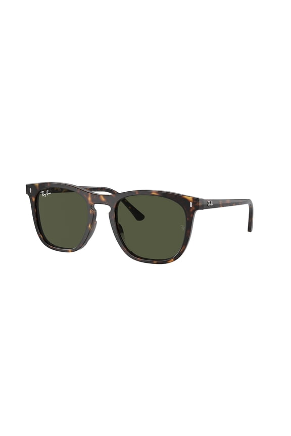 Sunglasses Ray-Ban RB 2210 902/31 Havana Green
