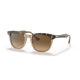 thumbnail image 1 of Ray-Ban Hawkeye Sunglasses, Timeless Square Eyeglasses, Havana On Transparent Brown/Brown Polarized, Size 52, 1 of 7