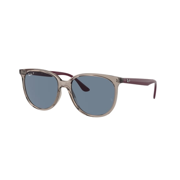 Sunglasses Ray-Ban RB 4378 65722V Transparent Grey Dark Blue Pol
