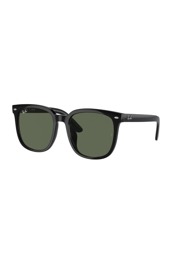 Sunglasses Ray-Ban RB 4401 D 601/71 Black Dark Green