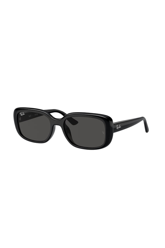Sunglasses Ray-Ban RB 4421 D 667787 Black Dark Grey