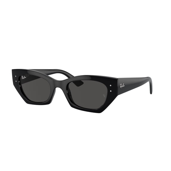 Sunglasses Ray-Ban RB 4430 667787 Zena Black Dark Grey