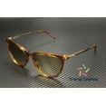 thumbnail image 1 of SAINT LAURENT SL 510 005 Cat Eye Havana Gold Brown 54 mm Women's Sunglasses, 1 of 5