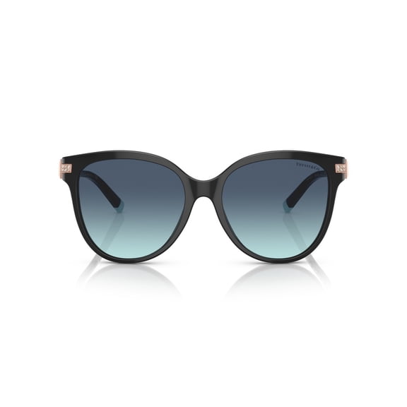 Tiffany & Co. Women's 0Tf4193b Cat-Eye Sunglasses Black