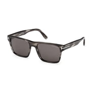 Tom Ford Calder Coloured Havana Acetate Square Grey Mens Sunglasses FT1205 56A 55