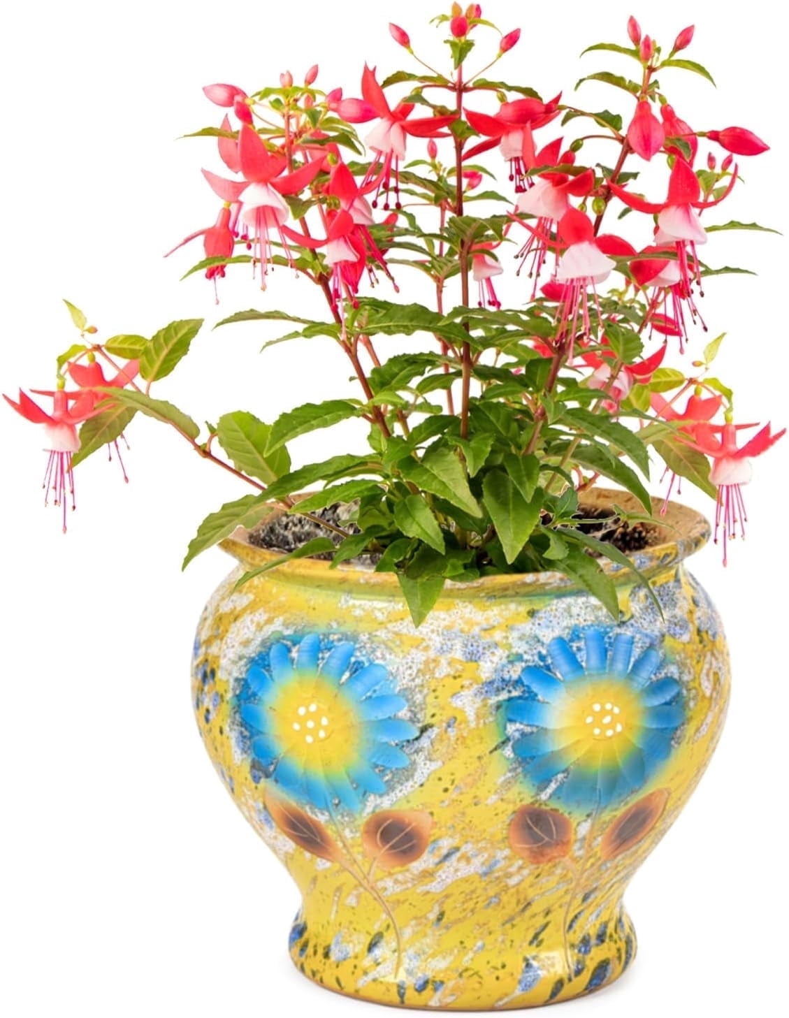Sungmor Ceramic Round Flower Pot, Gold with Floral Pattern and Drainage Holes