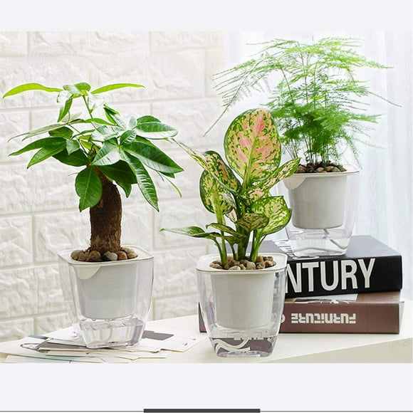 Sungmor Clear Self Watering Planter for Indoor Plants, 3 Pack 6.9 Inch Plastic Violet Flower Pots, Square Watering Plant Pot for House Plants,Orchid,Succulents, Herbs