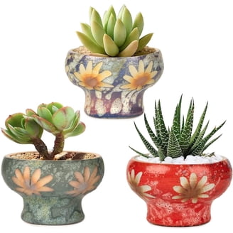 Small Succulent Pots