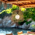 thumbnail image 1 of Sunjoy Keely LED Chandelier with Remote Control, Battery Operated (not included), Light Brown, 1 of 14