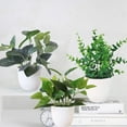 thumbnail image 1 of Sunjoy Tech 8.66” Artificial Bonsai in Plastic Pot, 1 of 8