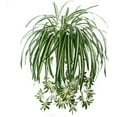 thumbnail image 1 of Sunjoy Tech Artificial Chlorophytum Flowers, Faux Flowers Spider Plant Fake Greenery Plant Hanging Basket Ivy Green Leaves Wall Hanging Plants for Home Garden Office Wedding Decoration, 1 of 8