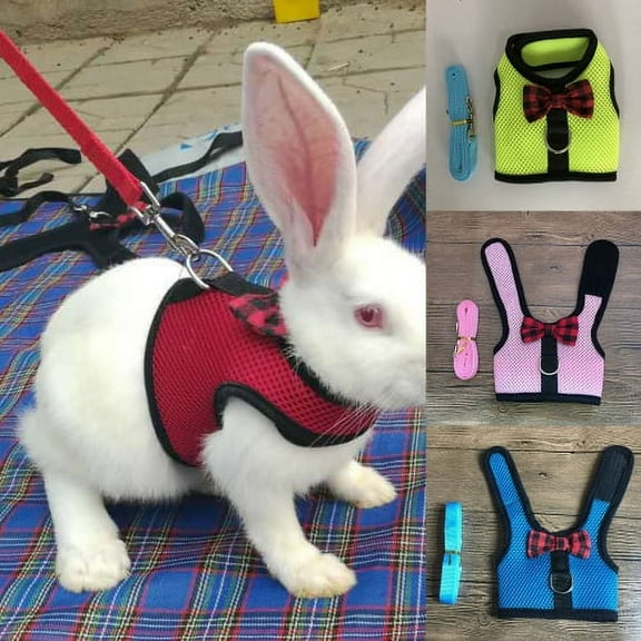 Sunjoy Tech Multipurpose Rabbits Hamster Vest Harness with Leash Bunny Adjustable Mesh Chest Strap Harnesses Ferret Guinea Pig Small Animals Pet Accessories