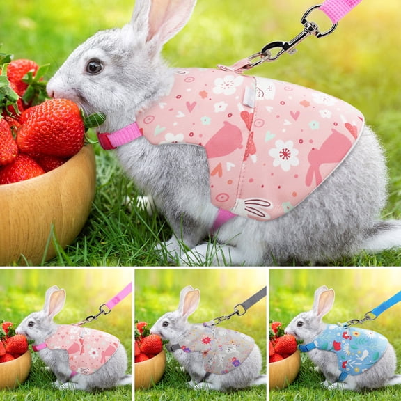 Sunjoy Tech Pet Leash Adjustable,Small Pets Vest Traction Rope Cartoon Flower Pattern,Soft Breathable Chest Strap for Rats Hamster Baby Ferrets