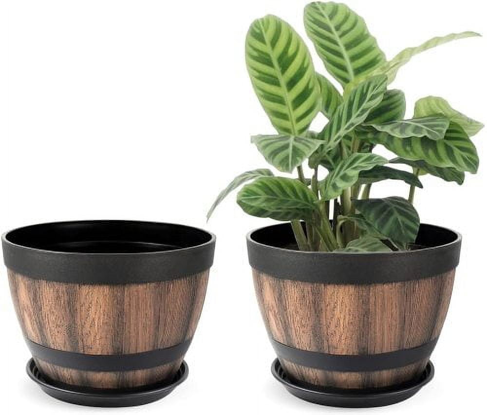 5-Inch Breathing Planter – Naked Root