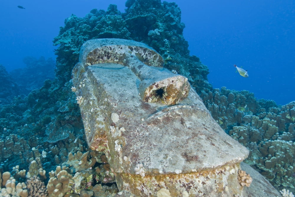 Sunken Moai Easter Island Chile Canvas Art - Mathieu MeurStocktrek Images (18 x 12)