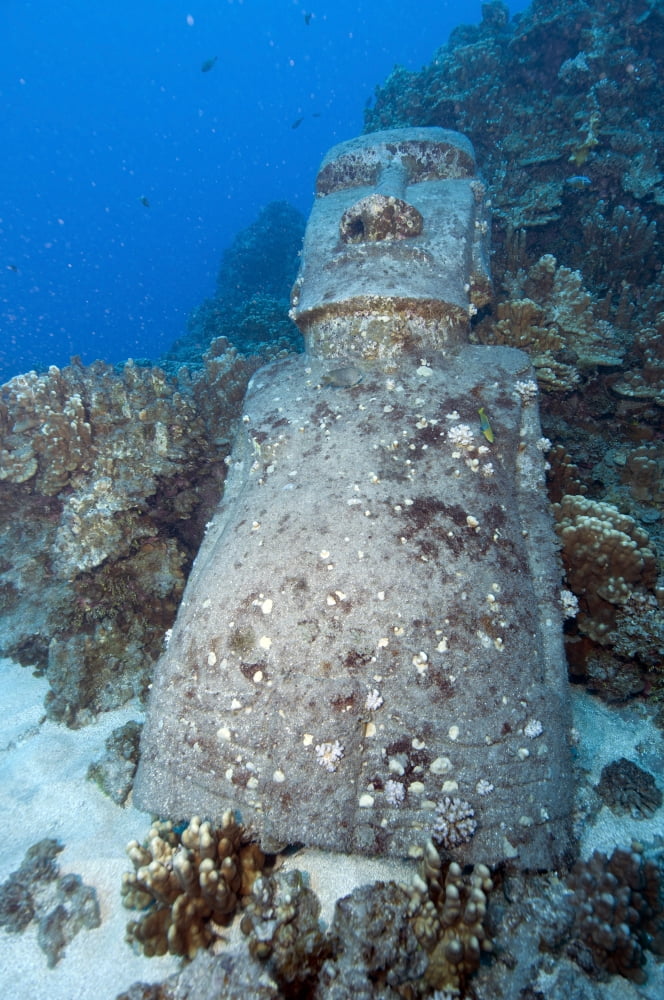 Sunken Moai Easter Island Chile Canvas Art - Mathieu MeurStocktrek Images (23 x 35)