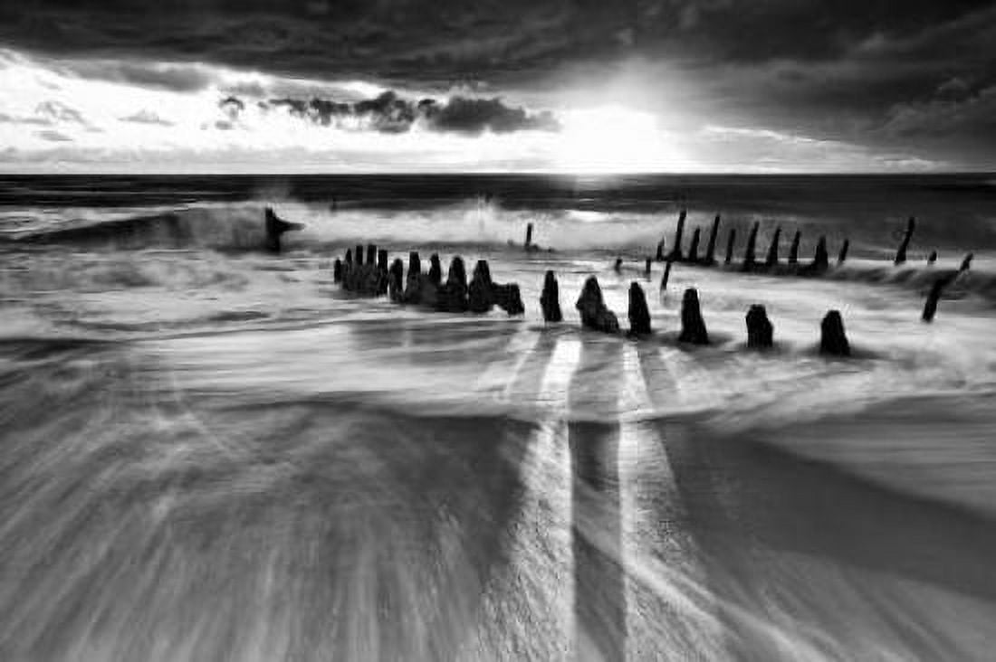 Sunlight Canvas Art - Mel Brackstone (24 x 36)